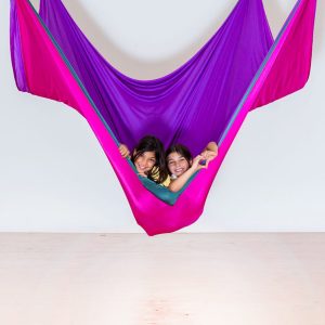 Sensory swing