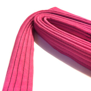 Aerial Loop Straps