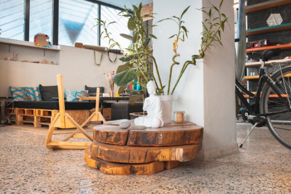 salachi-inexarchiagr-athlisi-petralona-4